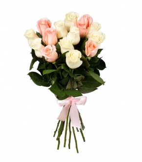 бело-розовые розы фото