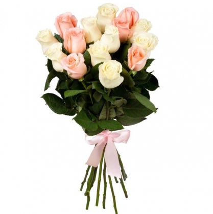 бело-розовые розы фото